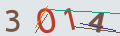 verifycode